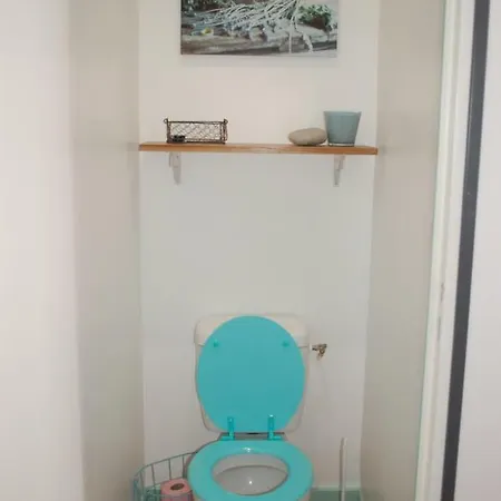 Apartamento Nid Douillet Prox Centre, Grand Palais,citadelle Lila